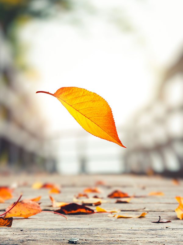 Begraven of Cremeren - Rijksen Uitvaartzorg Veenendaal
