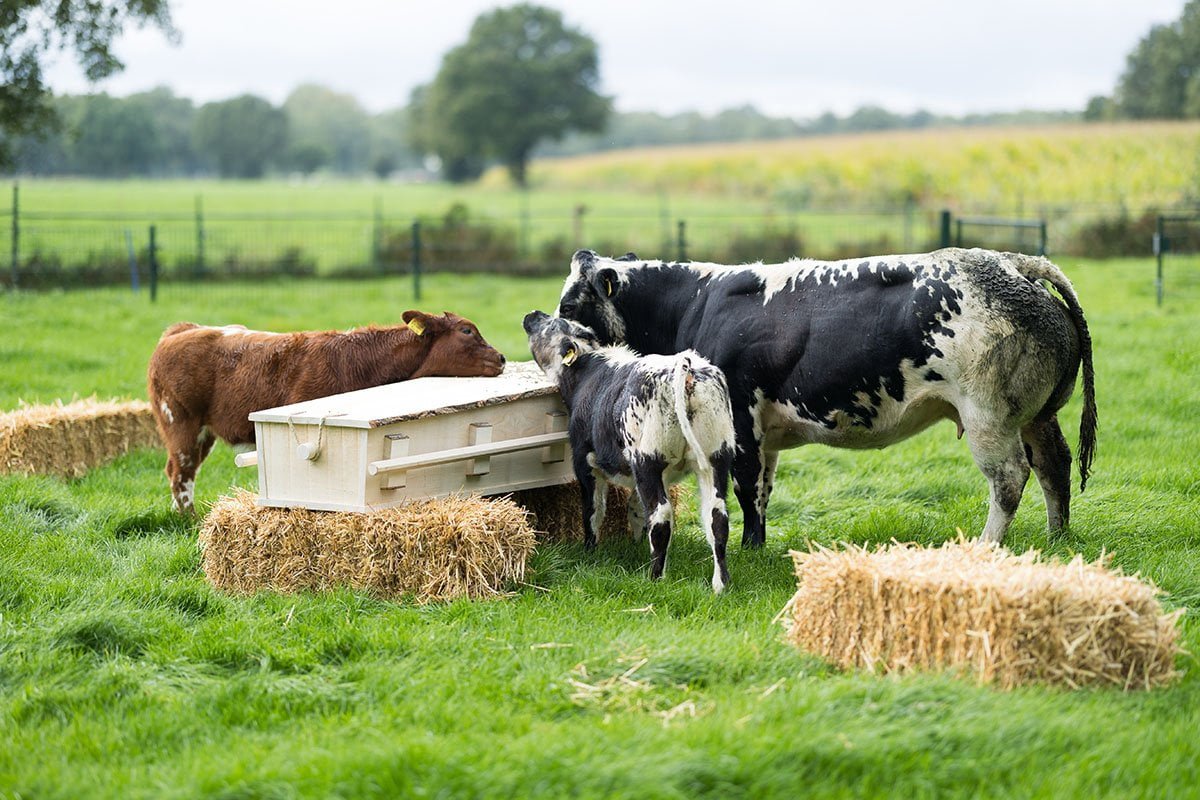 Uitvaartwensen vastleggen - Rijksen Uitvaartzorg Veenendaal